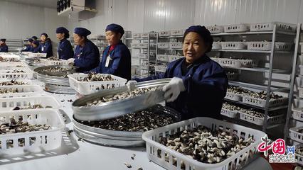 23省市2100余款產品齊聚全國菌博會，《中國食用菌產業年鑒》即將發布